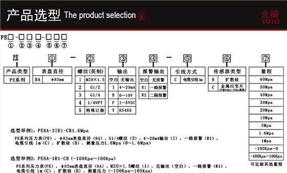 PE8A工業型數顯壓力表_04
