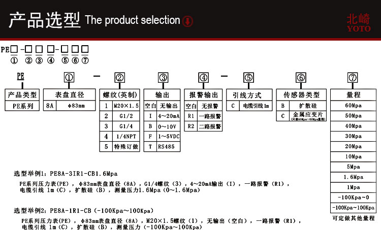 PE8A工業型數顯壓力表_04